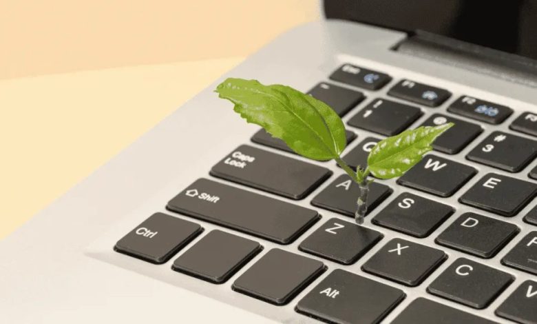 Server Ecology: Pin Up’s Energy Consumption and the Transition to “Green Hosting”